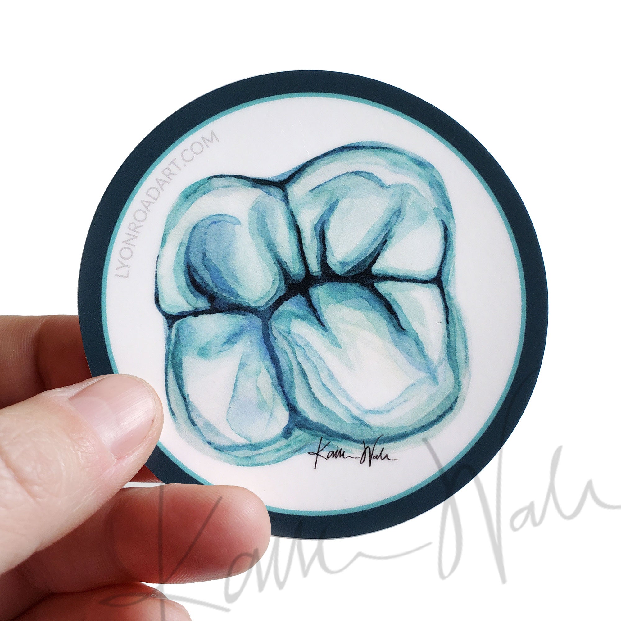 Set of 3 Molar Watercolor Art Stickers