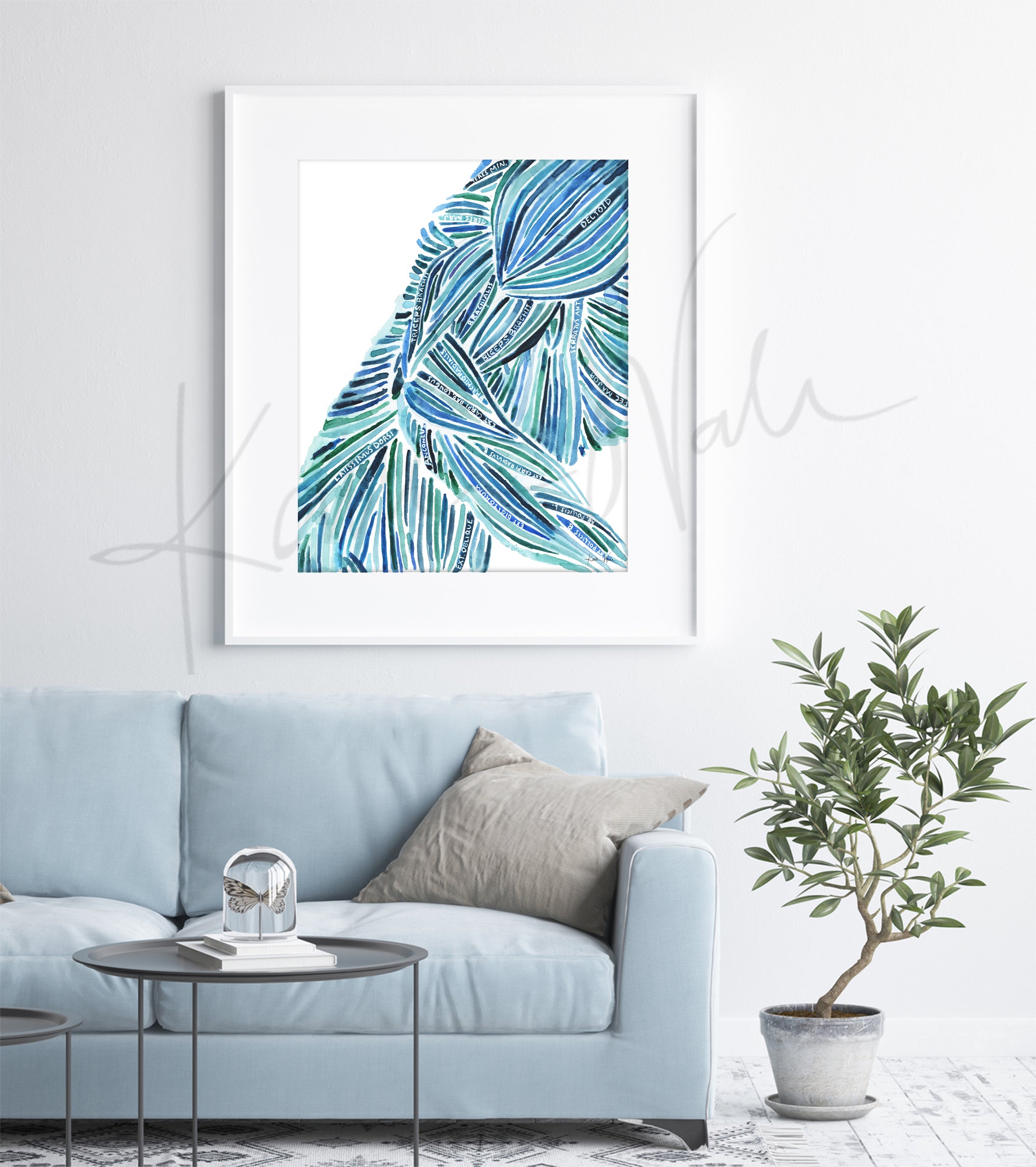 Framed watercolor painting of an abstract body with labeled muscles. The painting is hanging over a blue couch.