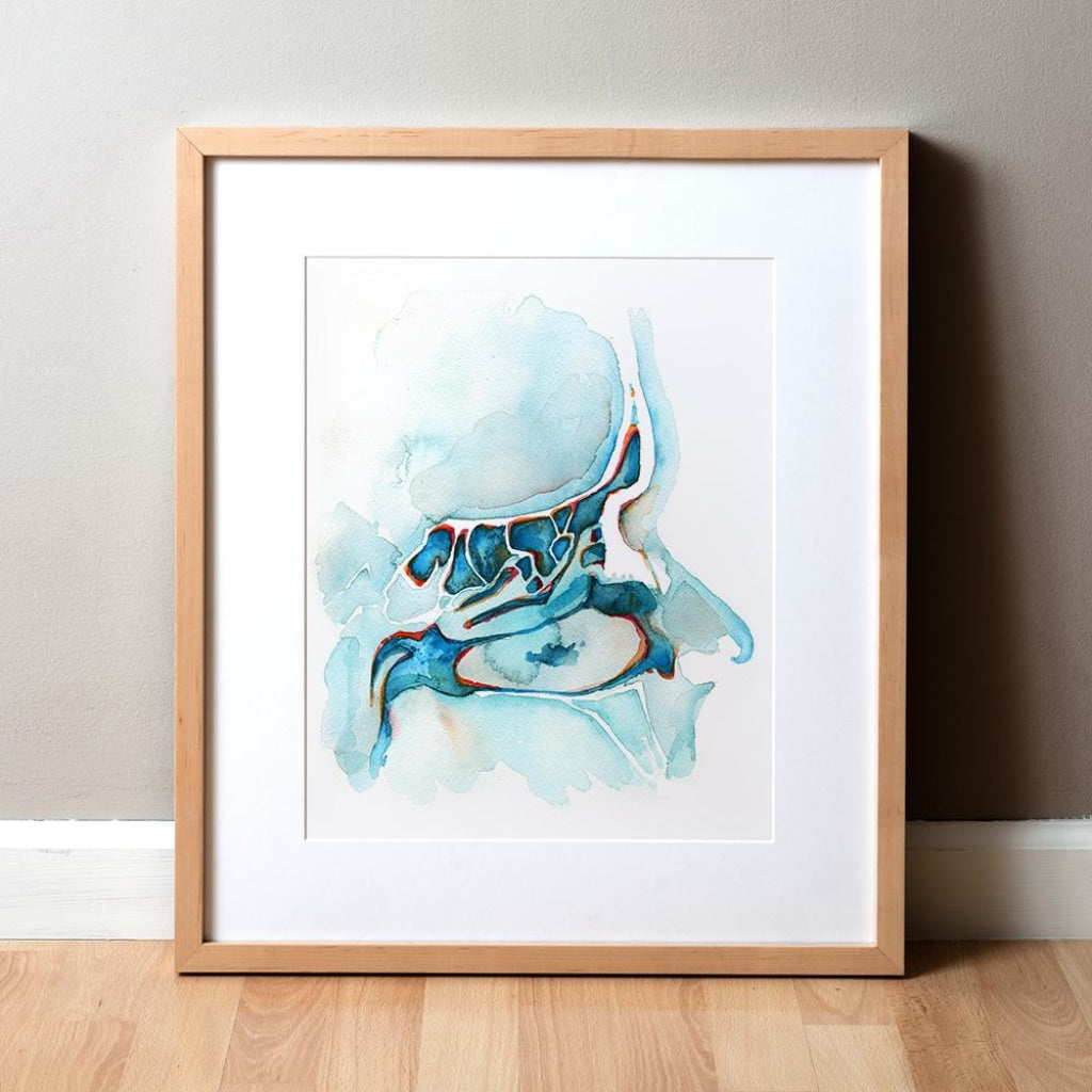 Sagittal Sinuses Print Watercolor