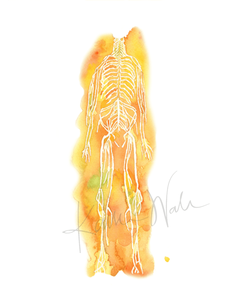 Nervous System Print Watercolor- Gift for doctor- Neurologist- Neurosurgeon- Nerve art