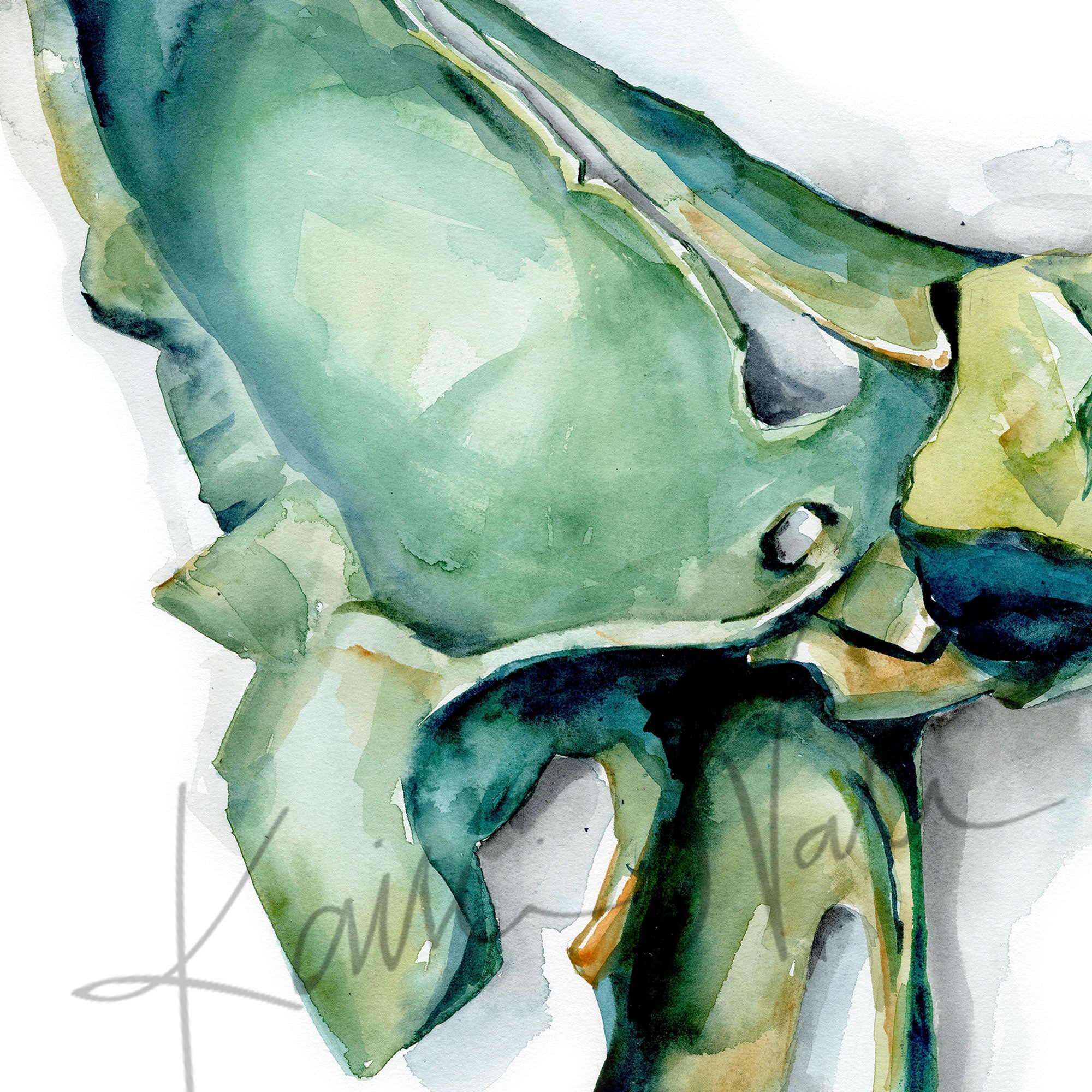 Zoomed in view of a watercolor painting of the sphenoid bone.