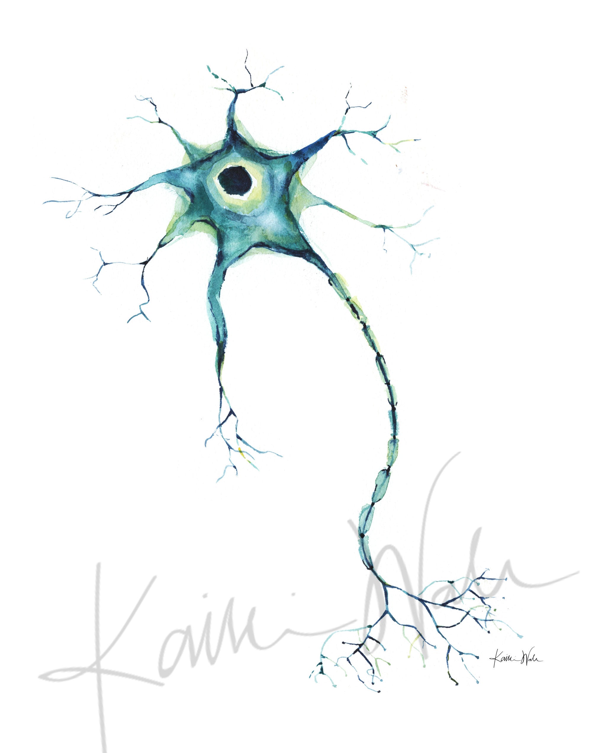 Nerve Cell Watercolor Print