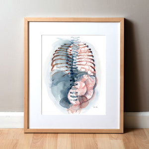 Framed watercolor painting of a diaphragmatic hernia.