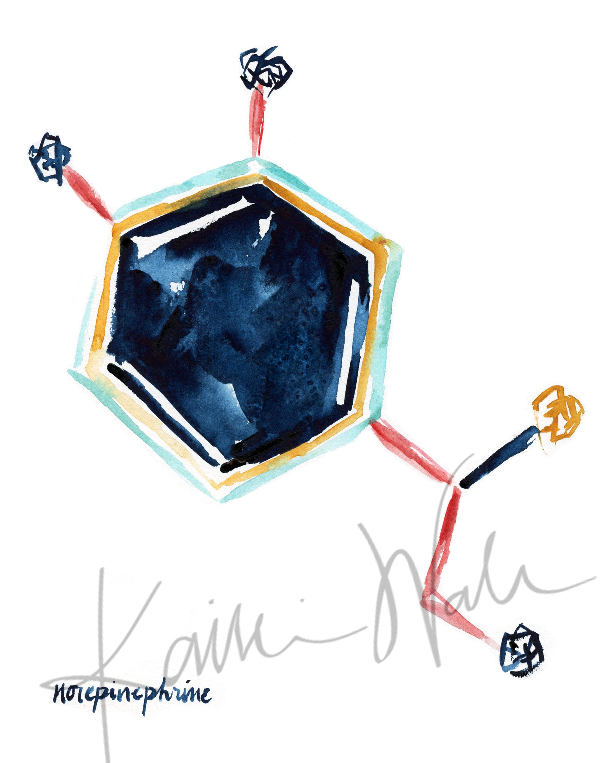 Unframed watercolor painting of the norepinephrine hormone structure in blues, yellow and reds.