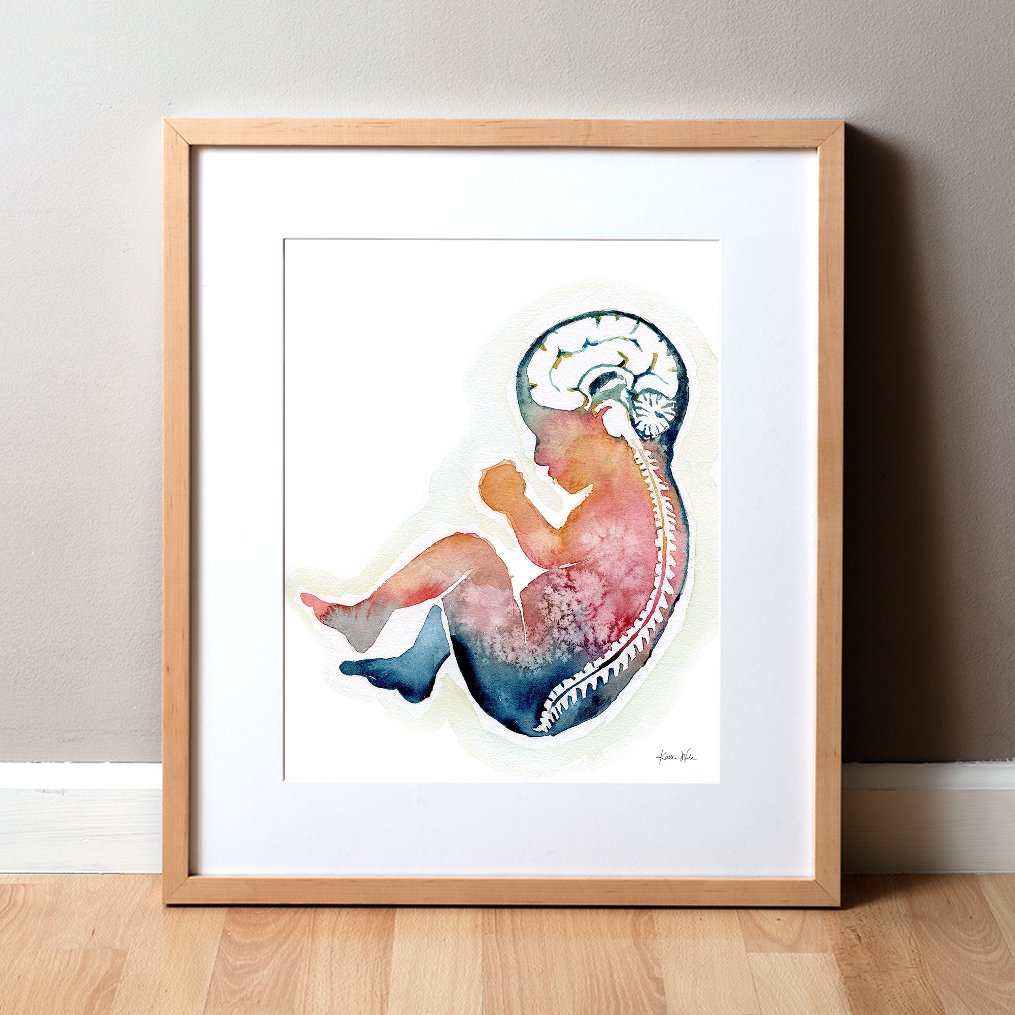 Framed watercolor painting of a fetus showing the spine and brain in rainbow colors.