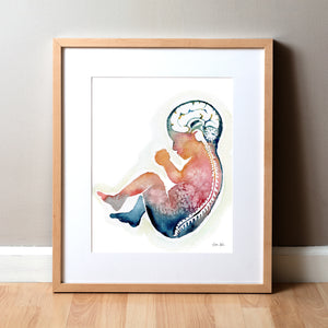 Framed watercolor painting of a fetus showing the spine and brain in rainbow colors.