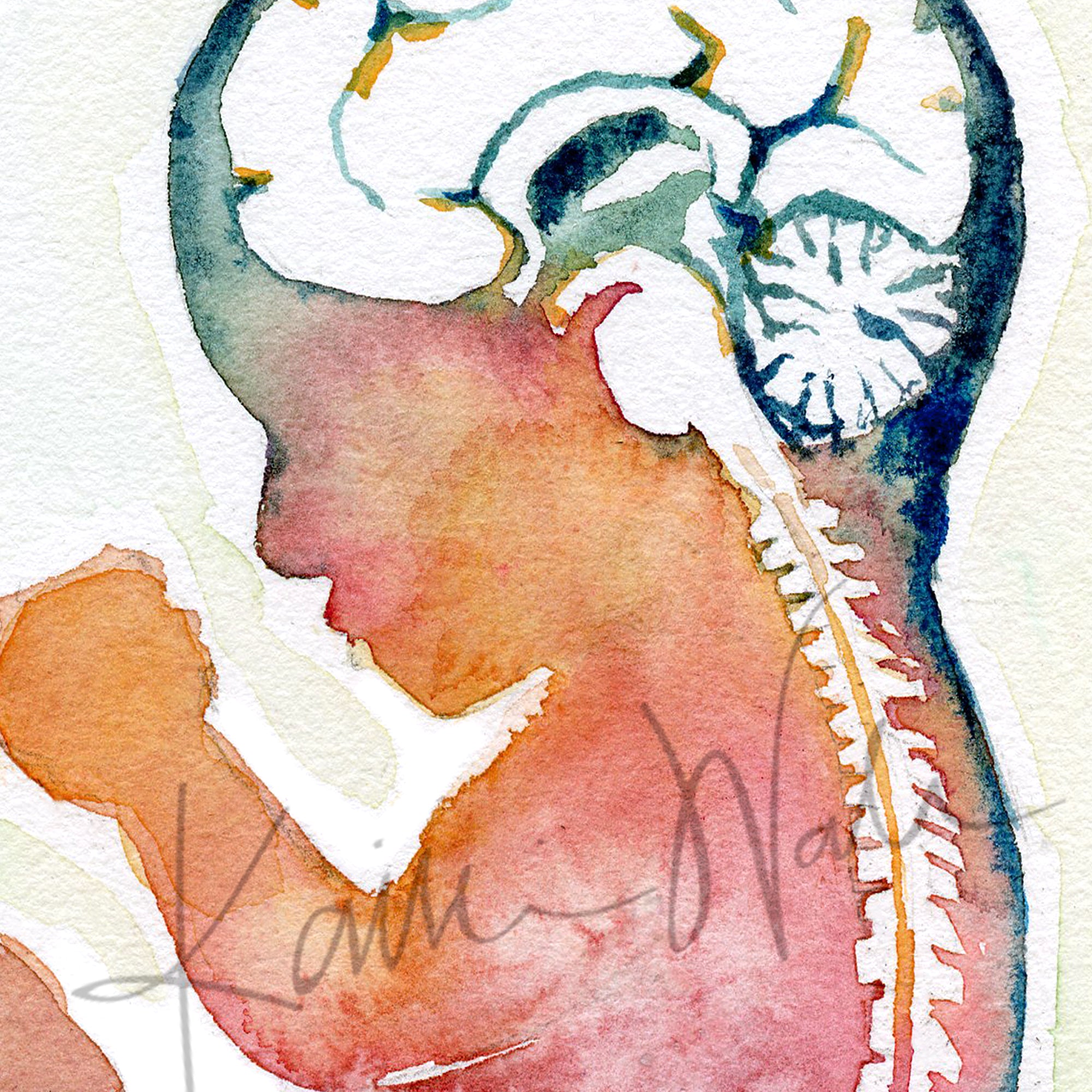 Zoomed in view of a watercolor painting of a fetus showing the spine and brain in rainbow colors.