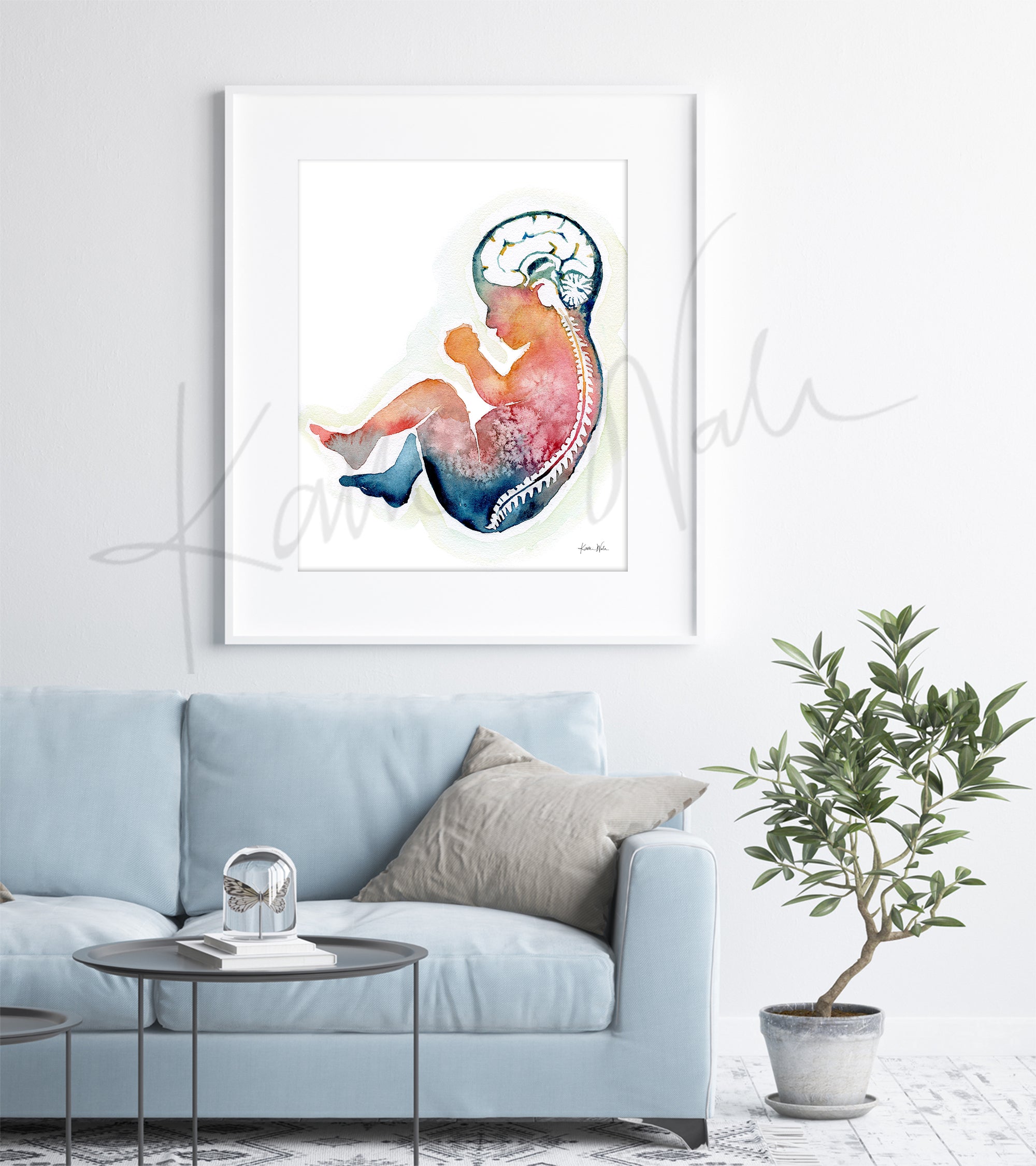 Framed watercolor painting of a fetus showing the spine and brain in rainbow colors. The framed print hangs above a blue couch.