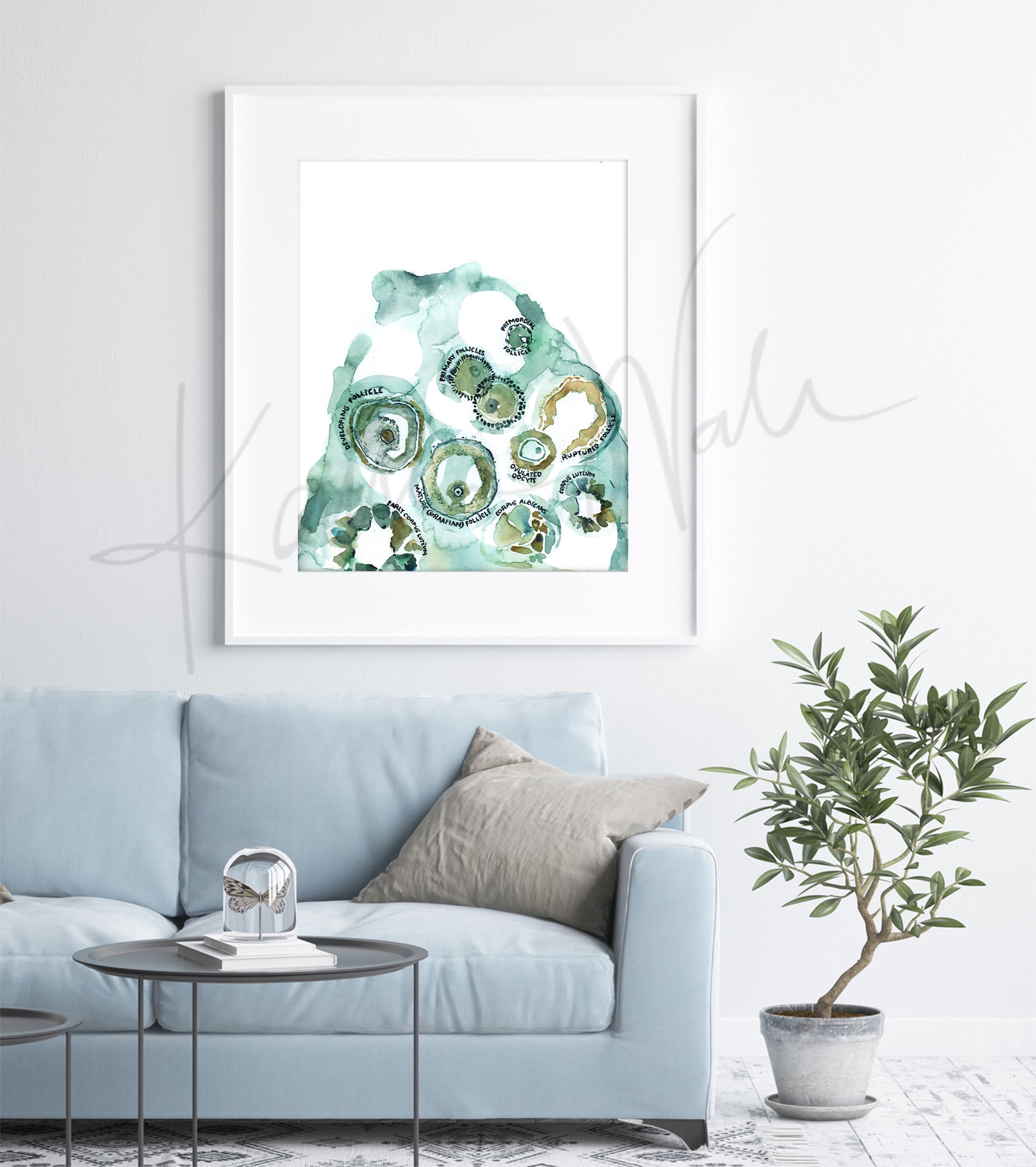Framed watercolor painting of an ovulation cycle. The painting is hanging over a blue couch.