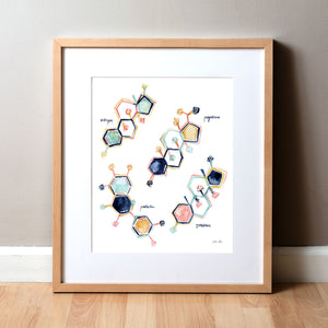 Framed watercolor poster of the molecular structure of reproductive hormones.