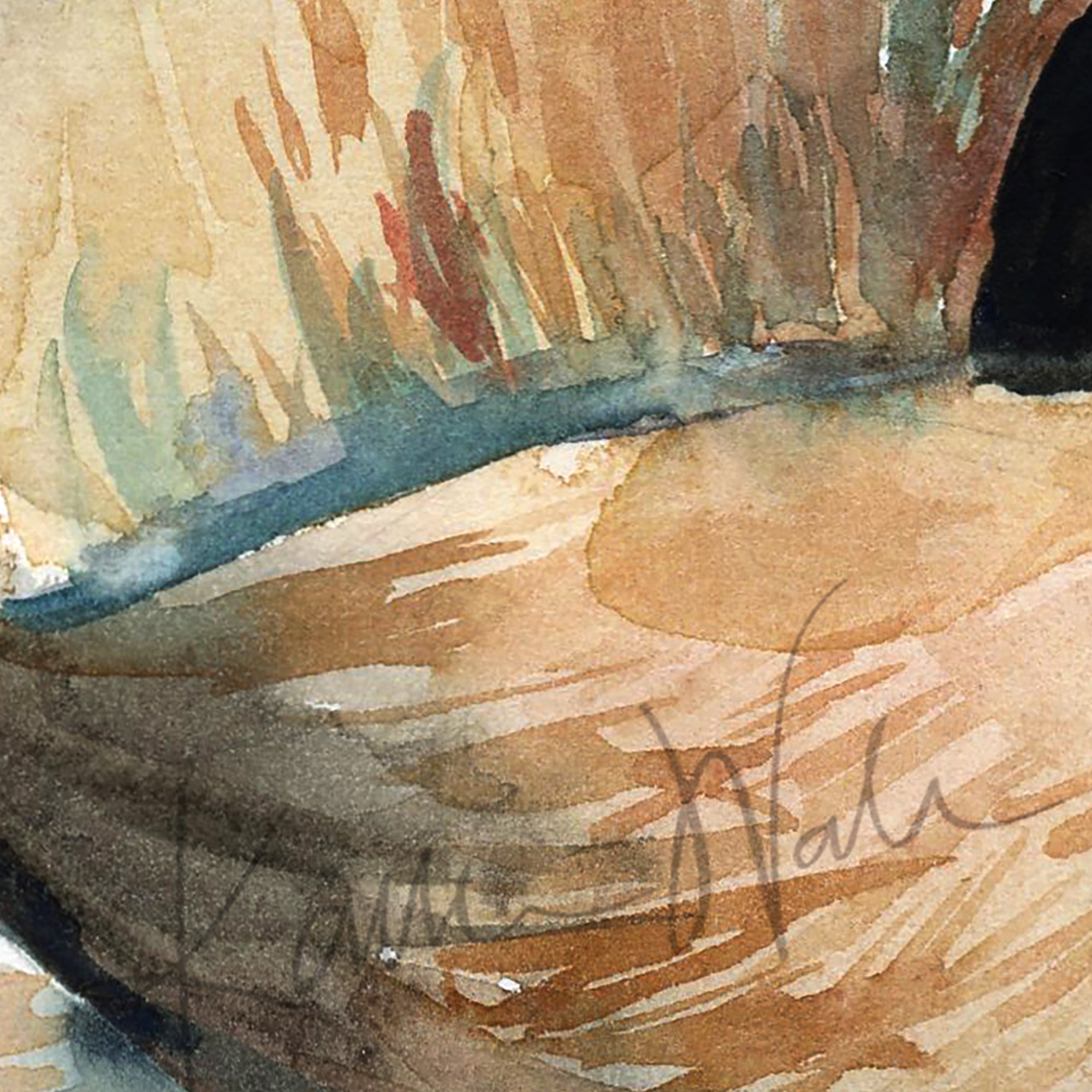 Zoomed in watercolor painting of a zoomed in perspective of a dog tail. The curled pug's tail is tan and black.