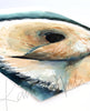 Unframed watercolor painting of a zoomed in perspective of a dog tail. The curled pug's tail is tan and black. The print is at an angle.