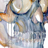 Zoomed in view of a watercolor painting of a side view of a three quarter view skull.