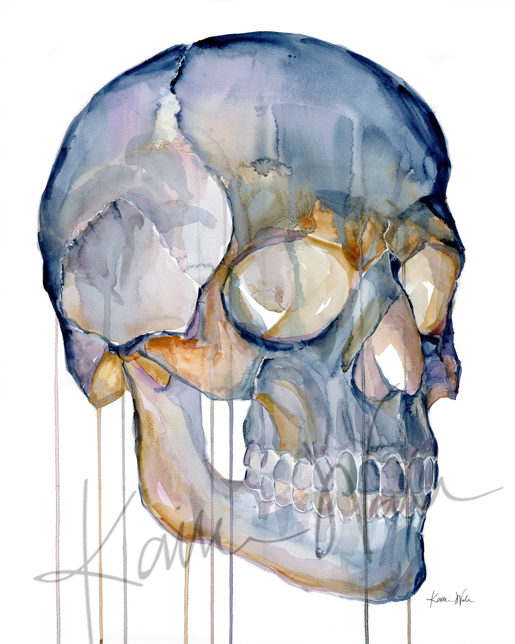 Unframed watercolor painting of a skull from a three quarter view.