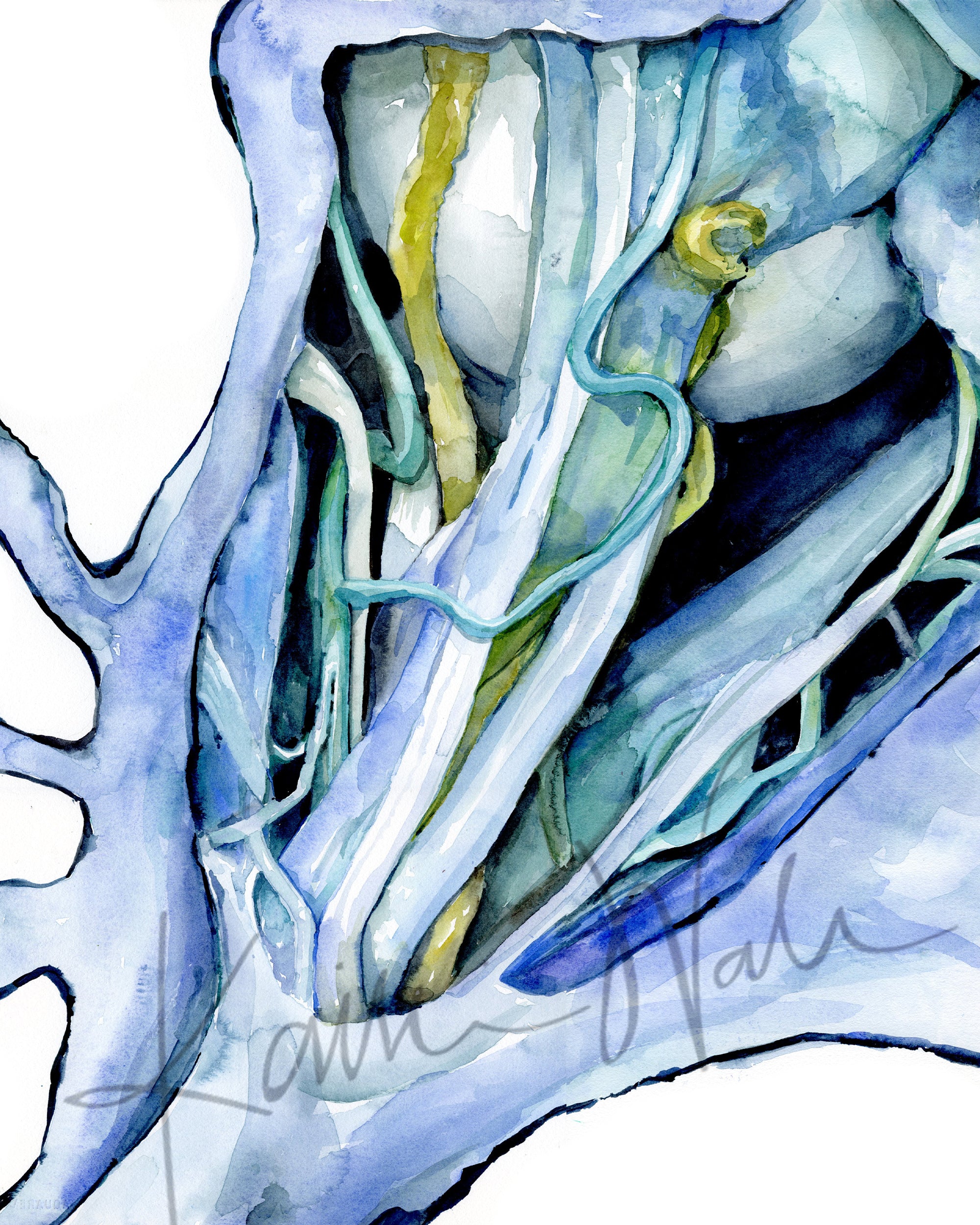 Unframed watercolor painting of a dissection showing the orbital nerves and surrounding anatomy in blues, teals, and greens.