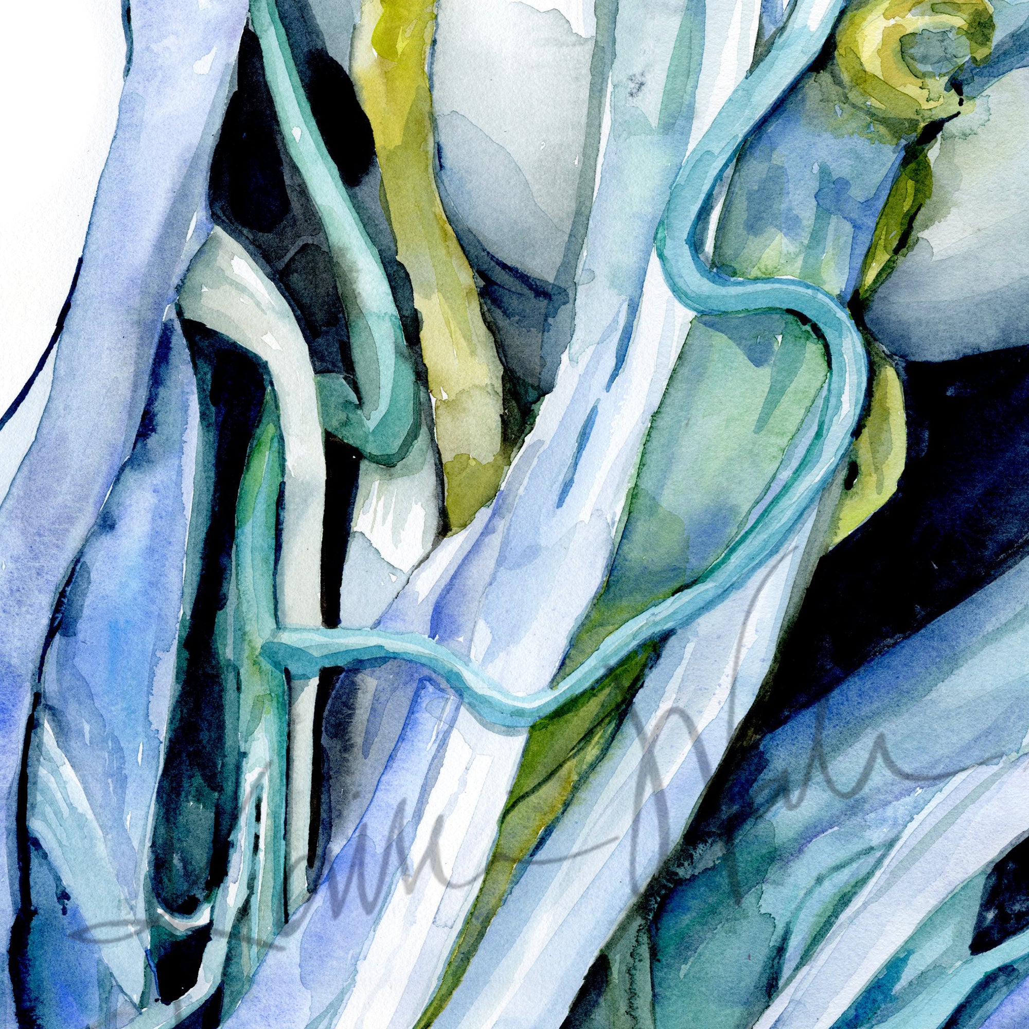Zoomed in view of a watercolor painting of a dissection showing the orbital nerves and surrounding anatomy in blues, teals, and greens.