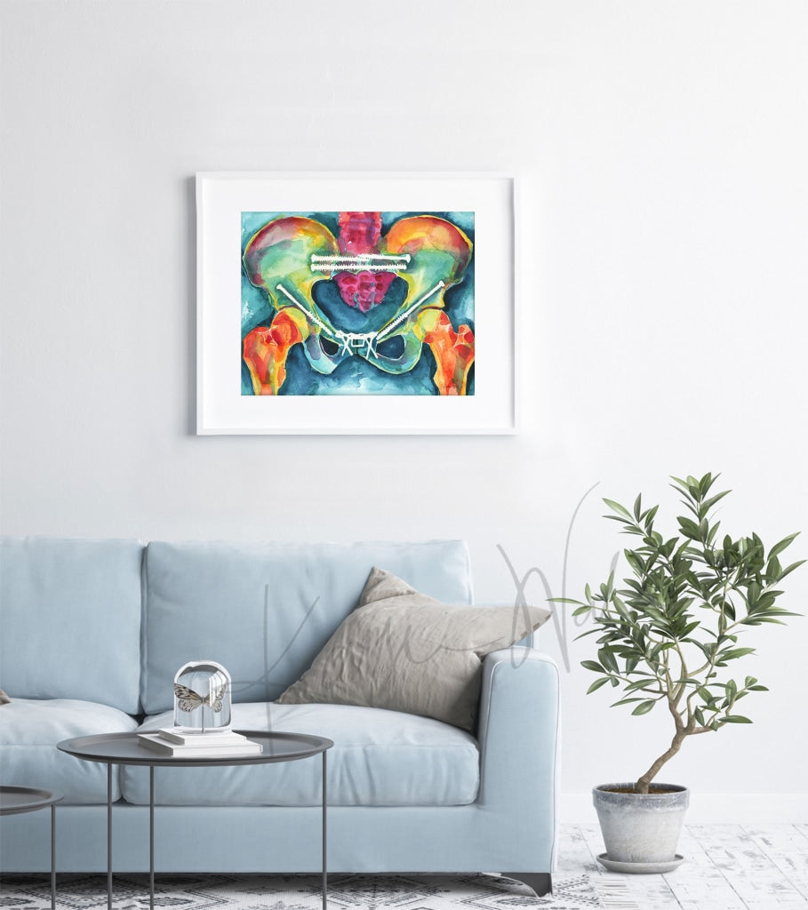 Bright Pelvis Watercolor Print - Orthopedic Art