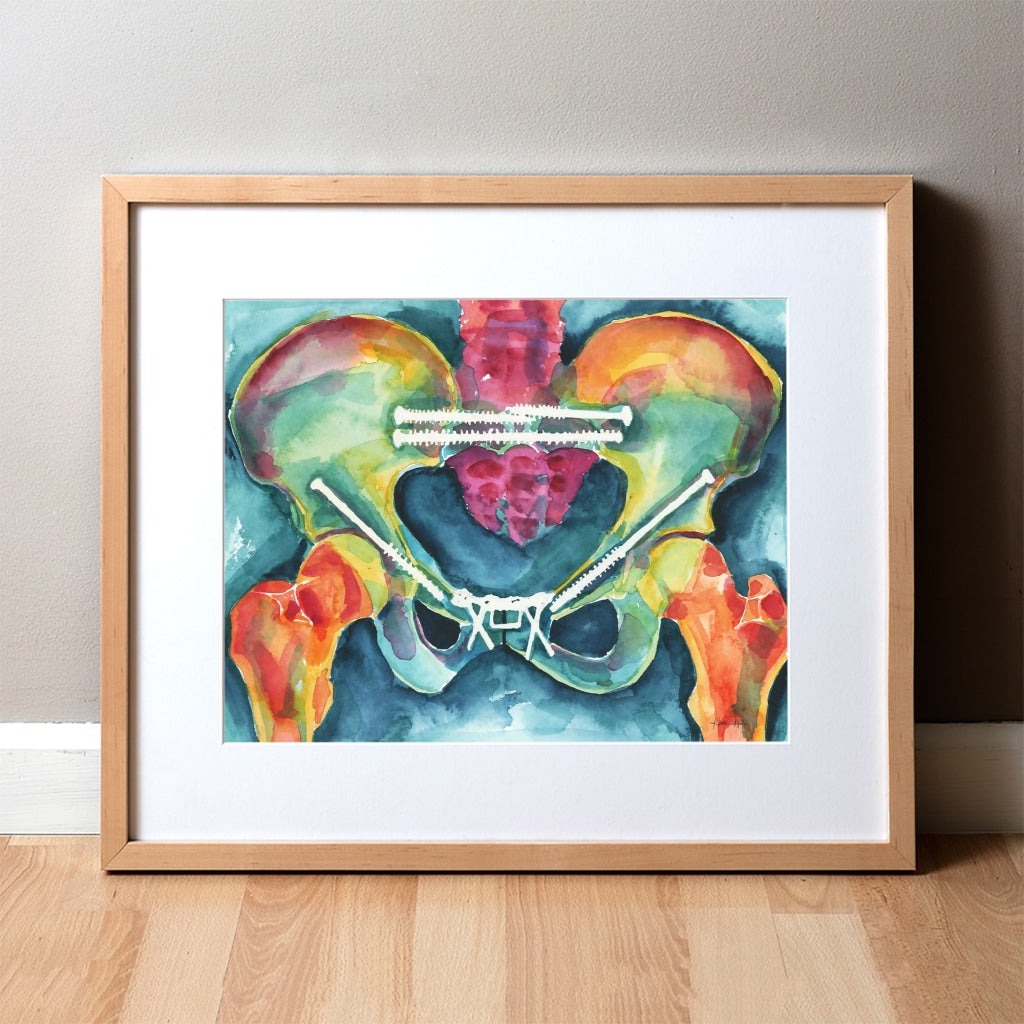 Bright Pelvis Watercolor Print - Orthopedic Art