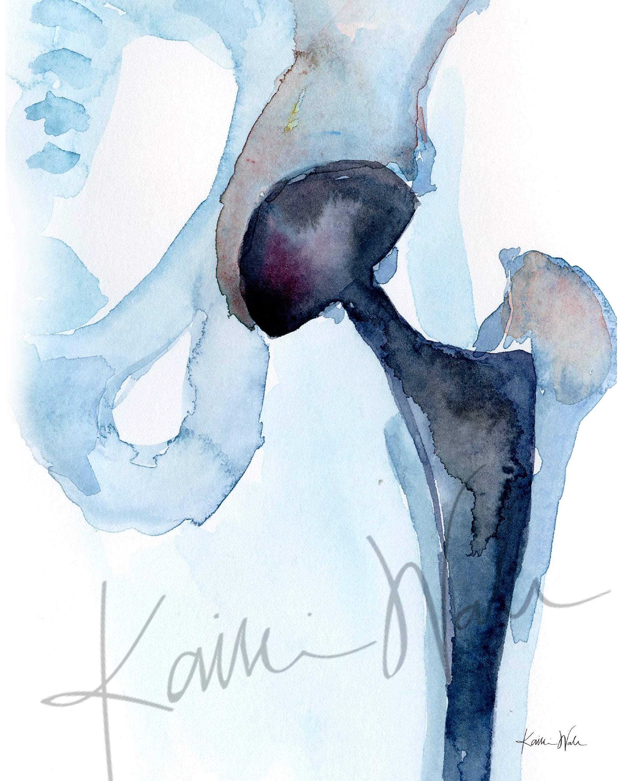 Hip, Shoulder, and Knee Orthopedics Watercolor Print Set