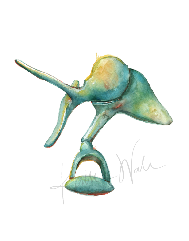 Ossicles Print Watercolor