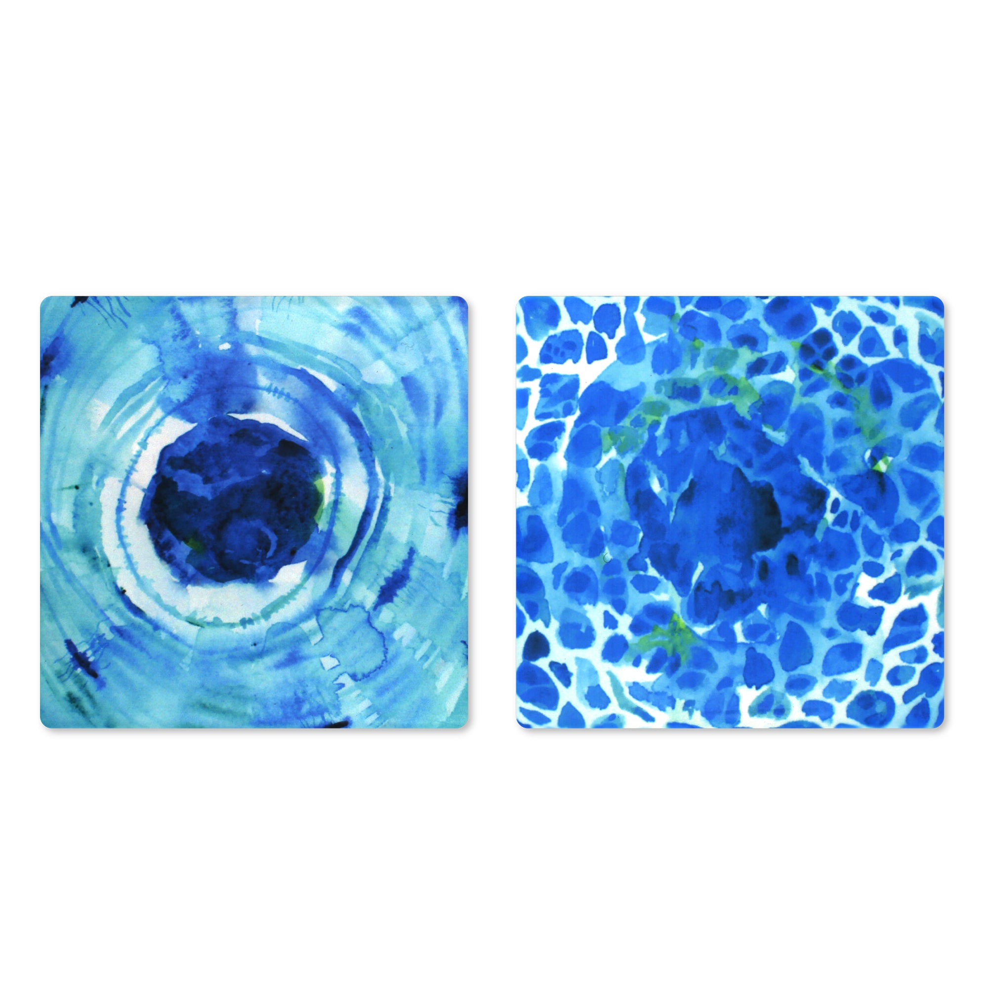 Spongy Bone and Osteon Ceramic Coaster Set of 2