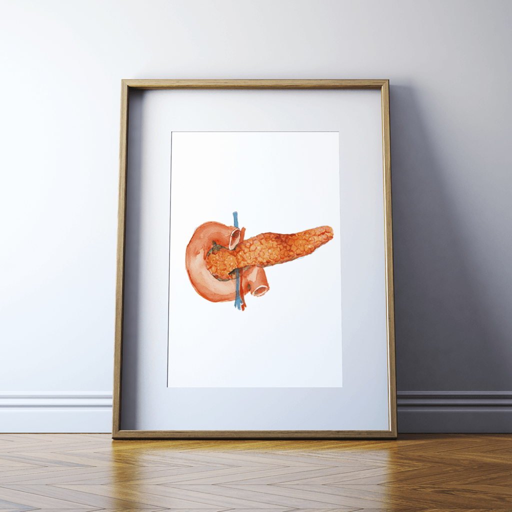 Anatomical Pancreas Print Watercolor