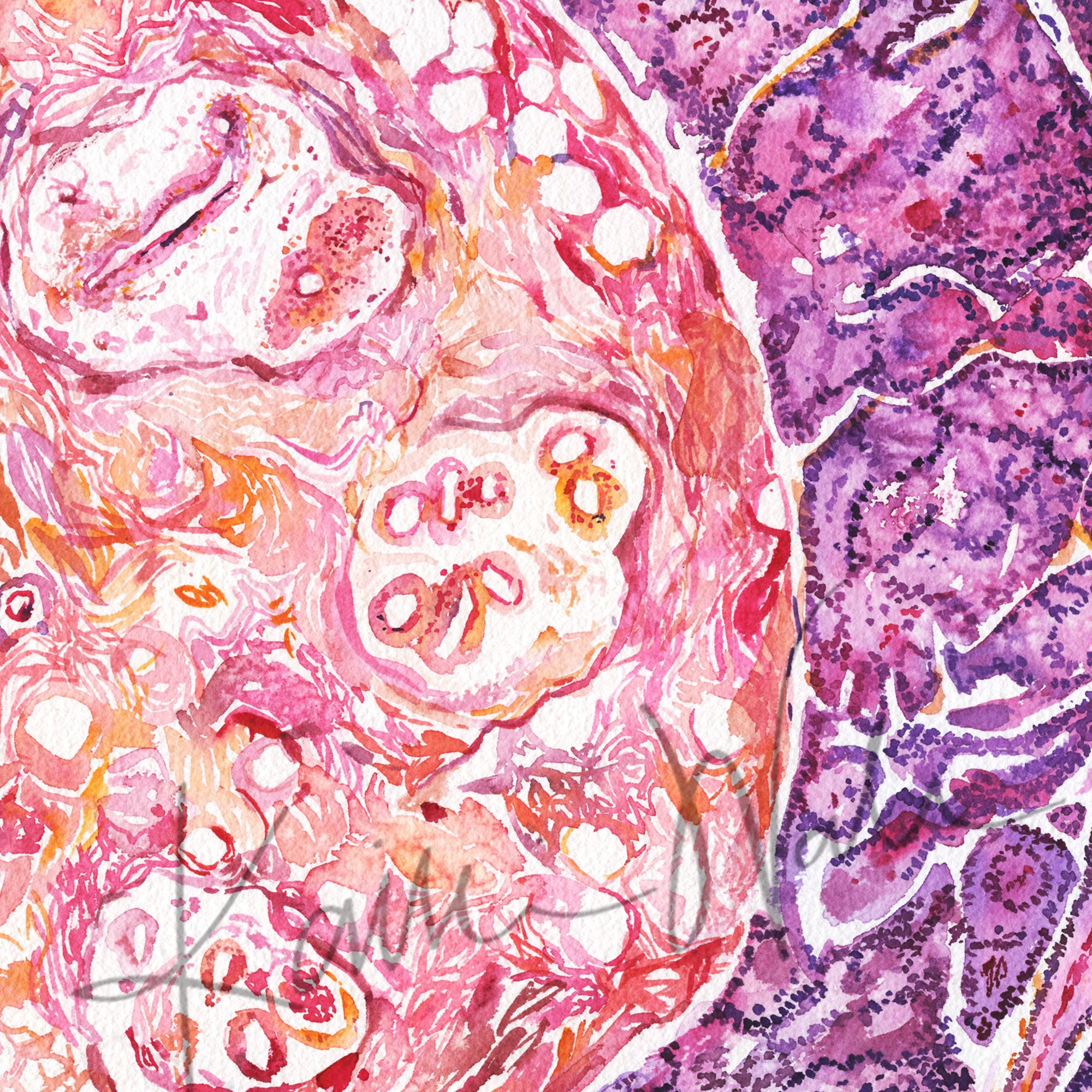 Breast Histology Watercolor Print