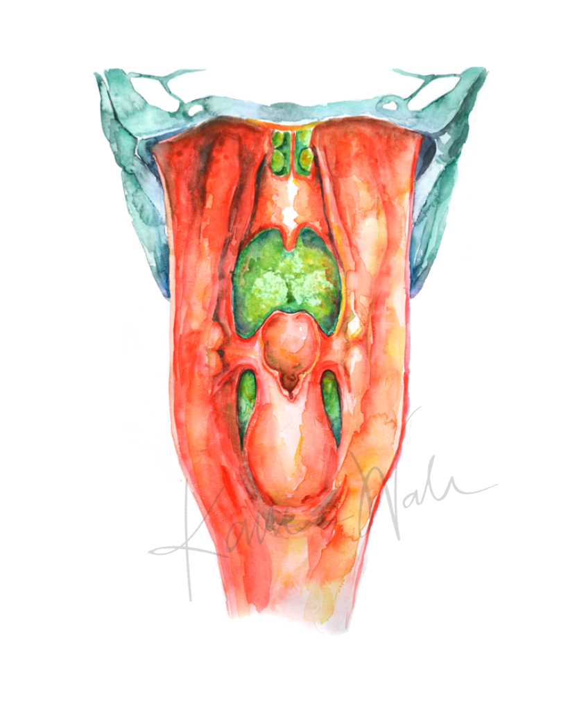 Pharynx In Red Print Watercolor