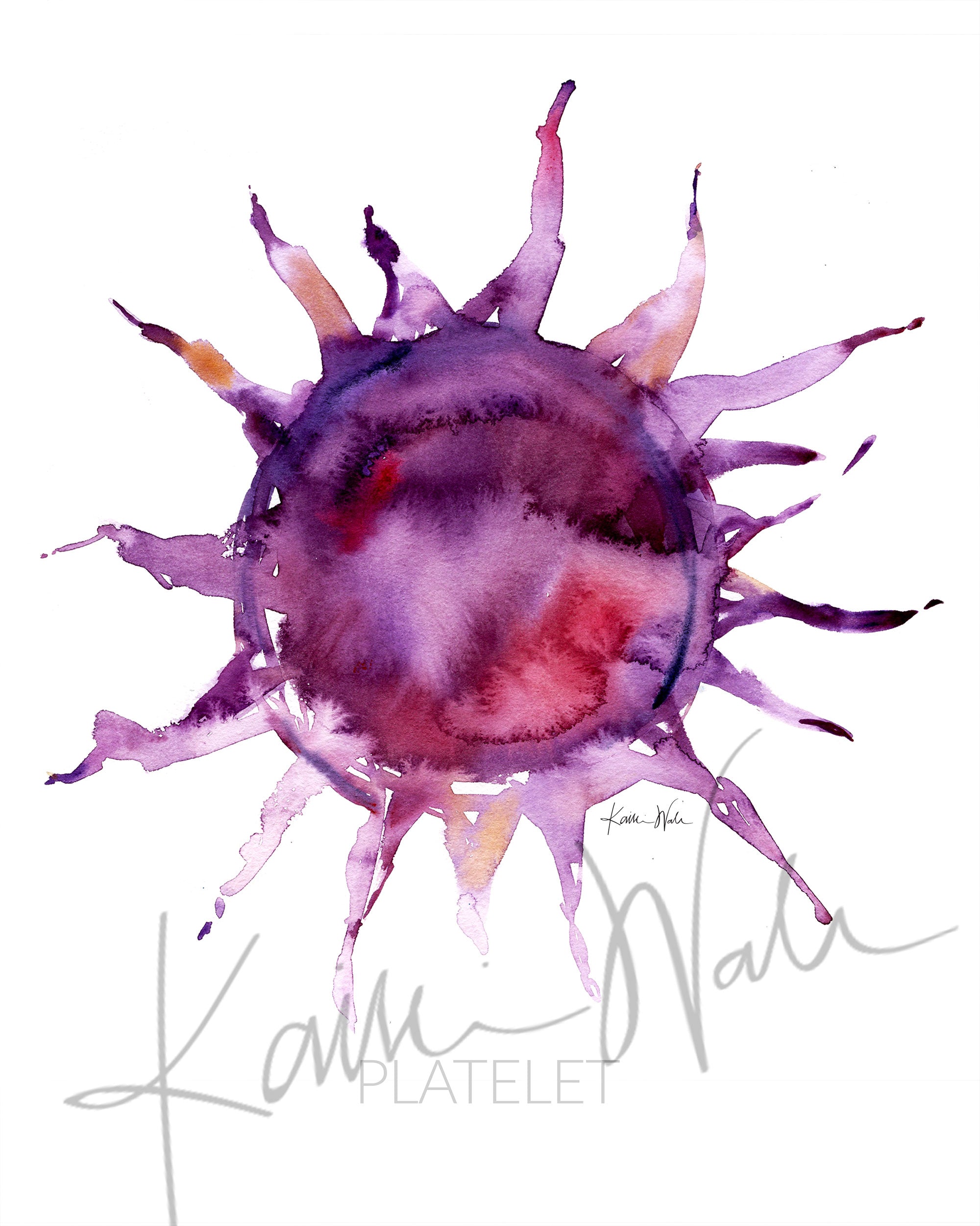 Unframed watercolor painting of a platelet.