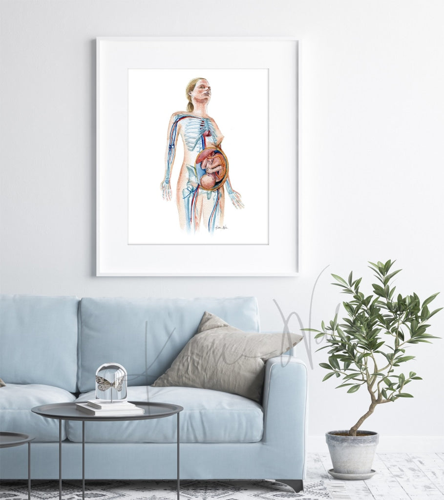 Pregnant Female Watercolor Print