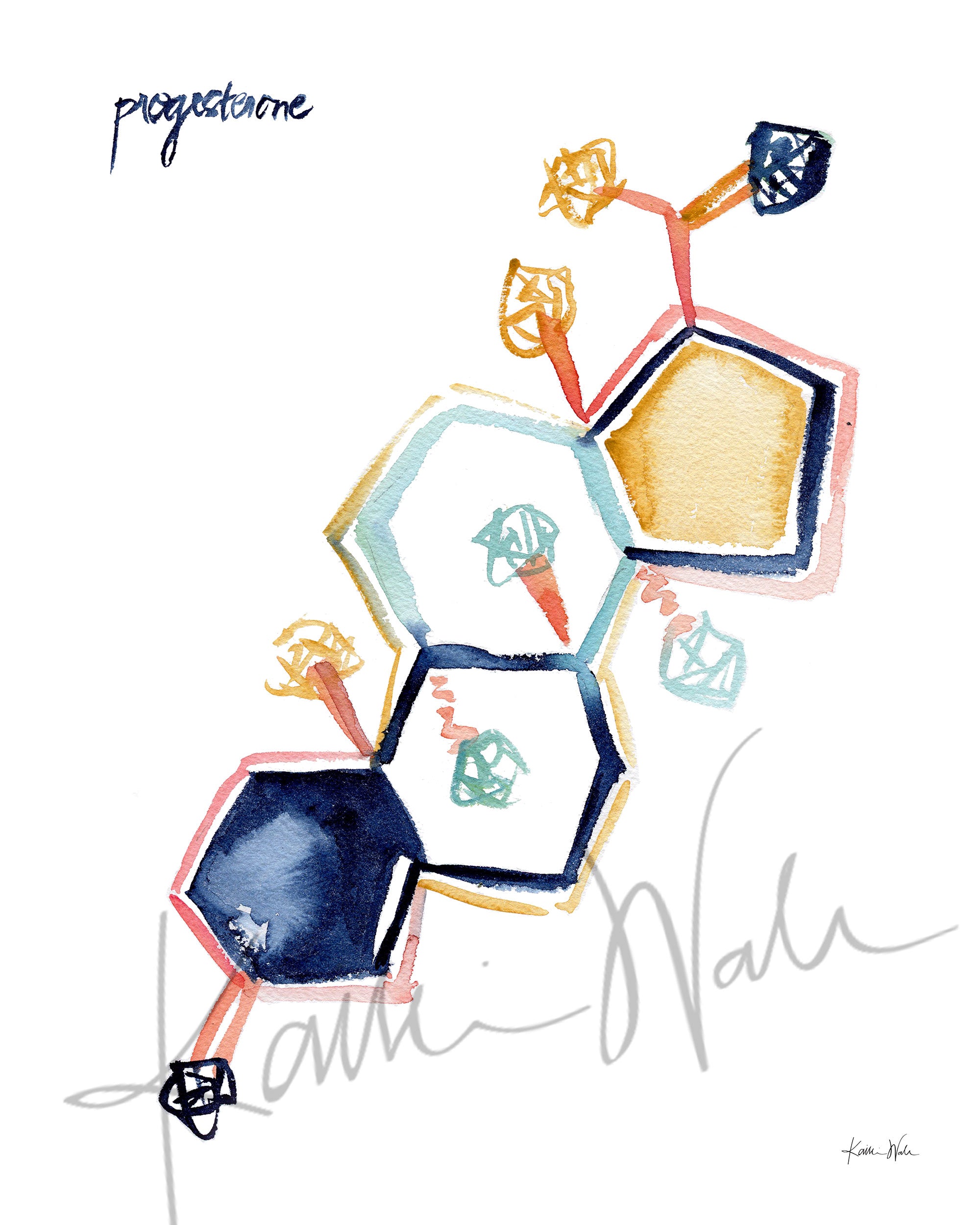 Unframed watercolor painting of the progesterone hormone molecular structure.