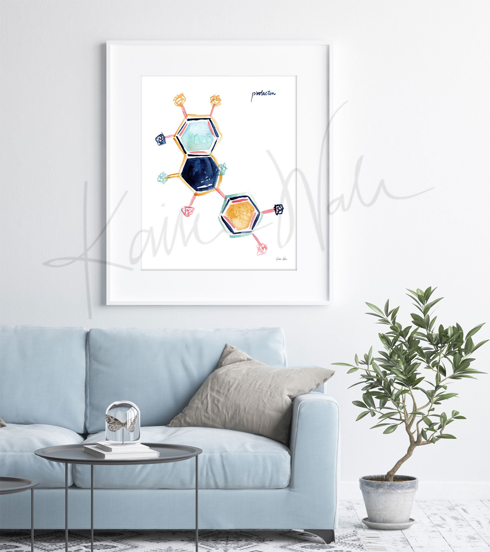 Framed watercolor painting of prolactin hormone molecular structure The painting is hanging over a blue couch.