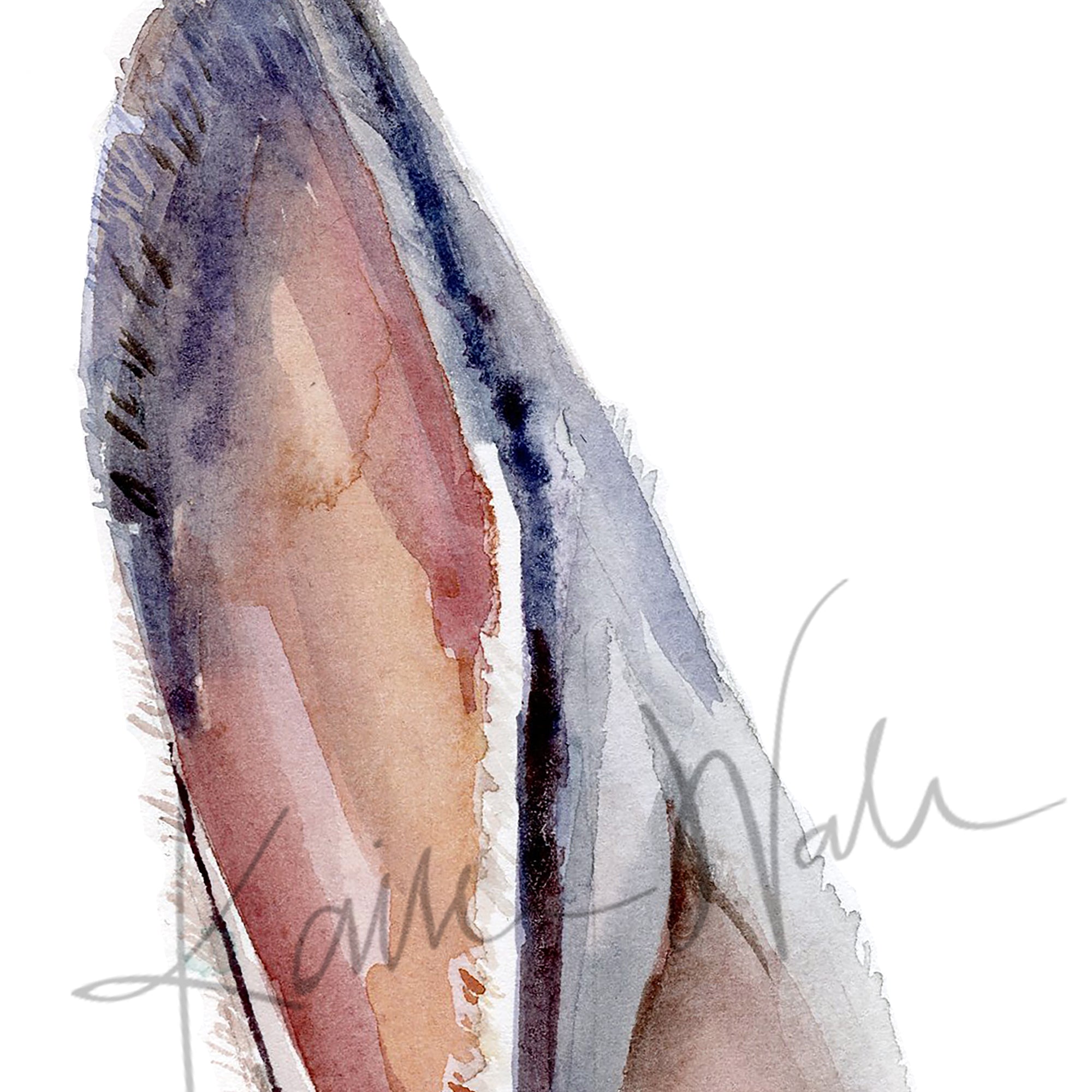 Zoomed in view of a watercolor painting of a zoomed in perspective of rabbit ears in tans, pinks, and browns.