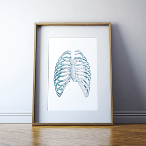 Rib Cage Print Watercolor