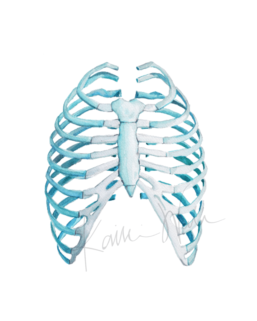 Rib Cage Print Watercolor