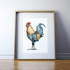 Rooster Print Watercolor