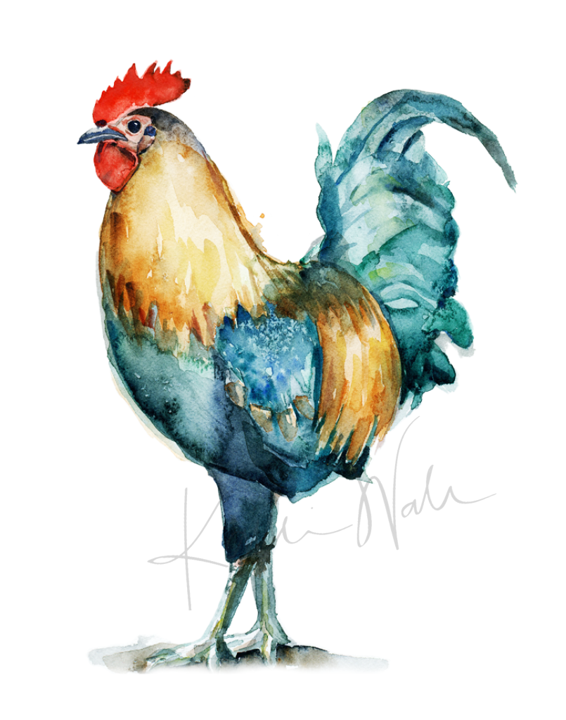 Rooster Print Watercolor