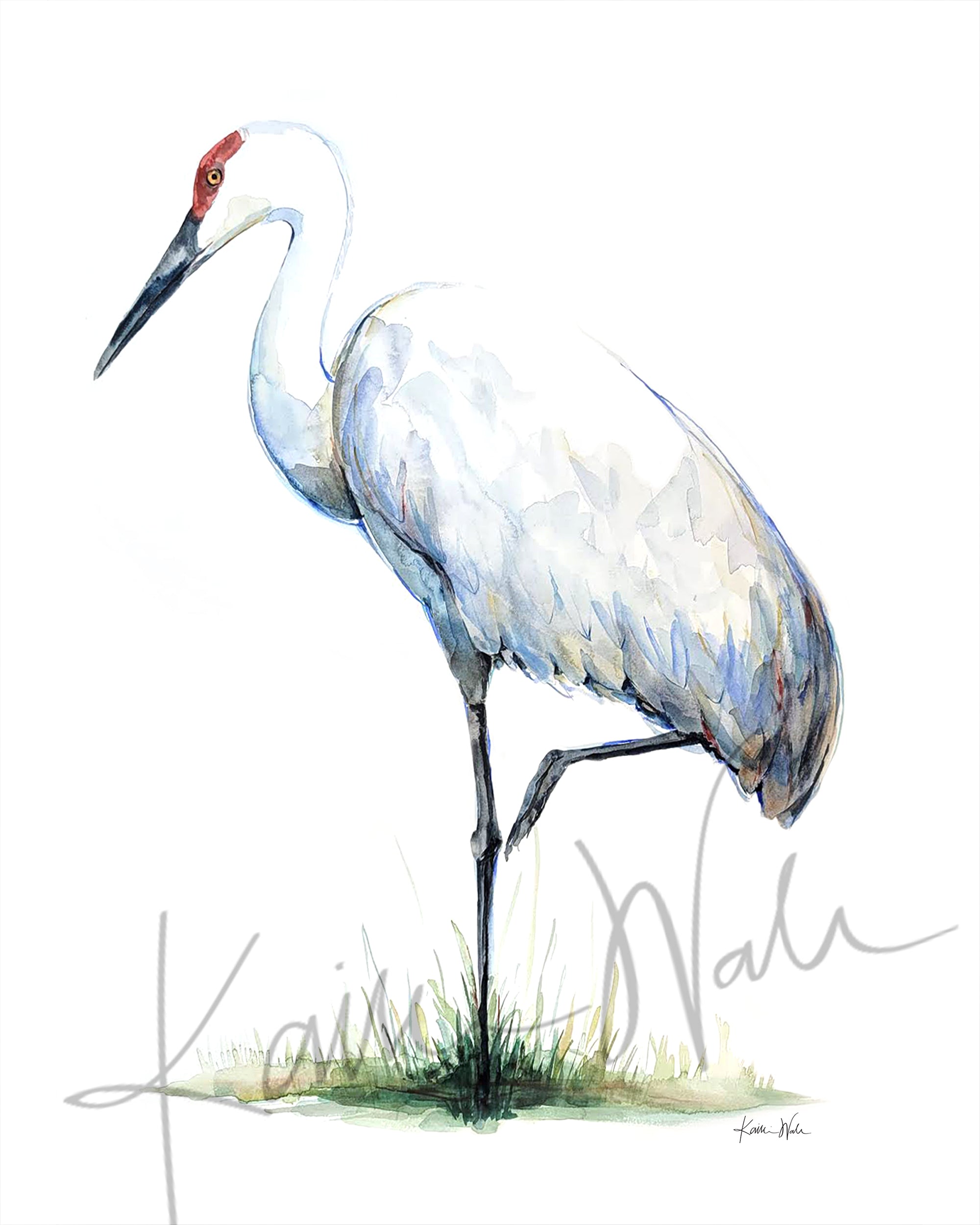 Sandhill Crane on One Foot Watercolor Print