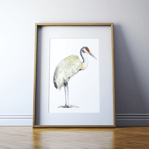 Sandhill Crane Print Watercolor