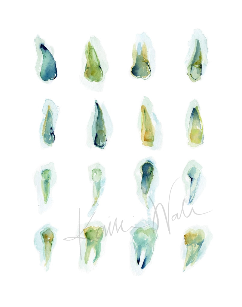 Sixteen Teeth In Sea Glass Green Print Watercolor