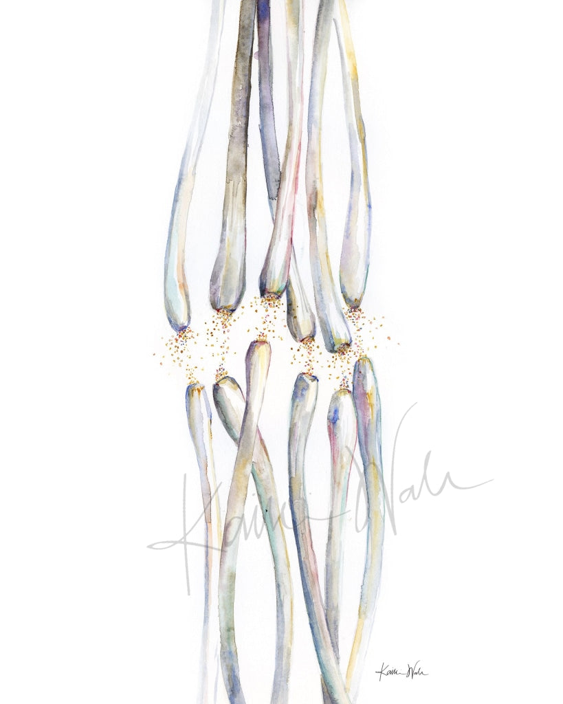 Synaptic Cleft Watercolor Print