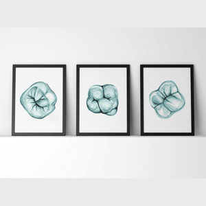 Molar In Aqua Print Set Watercolor