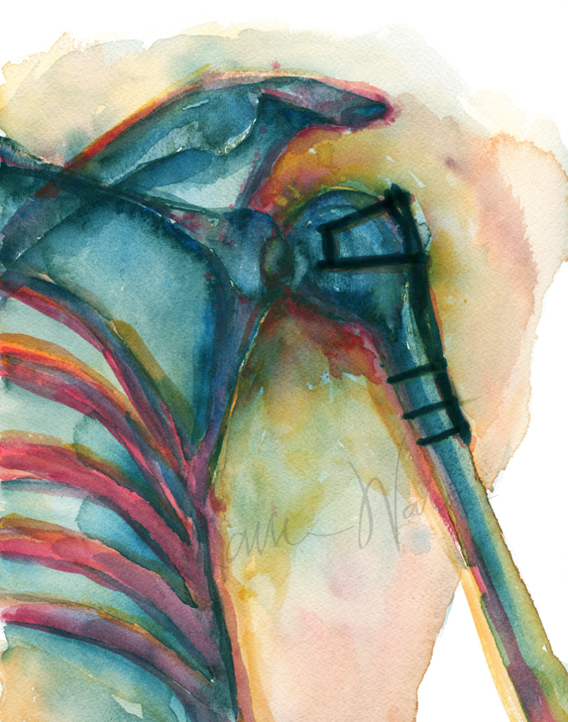 Fractured Shoulder Joint Print Watercolor