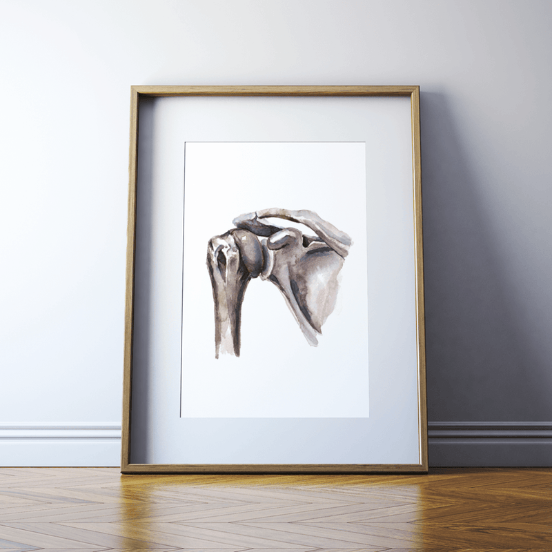 Shoulder Joint Anatomy Print Watercolor