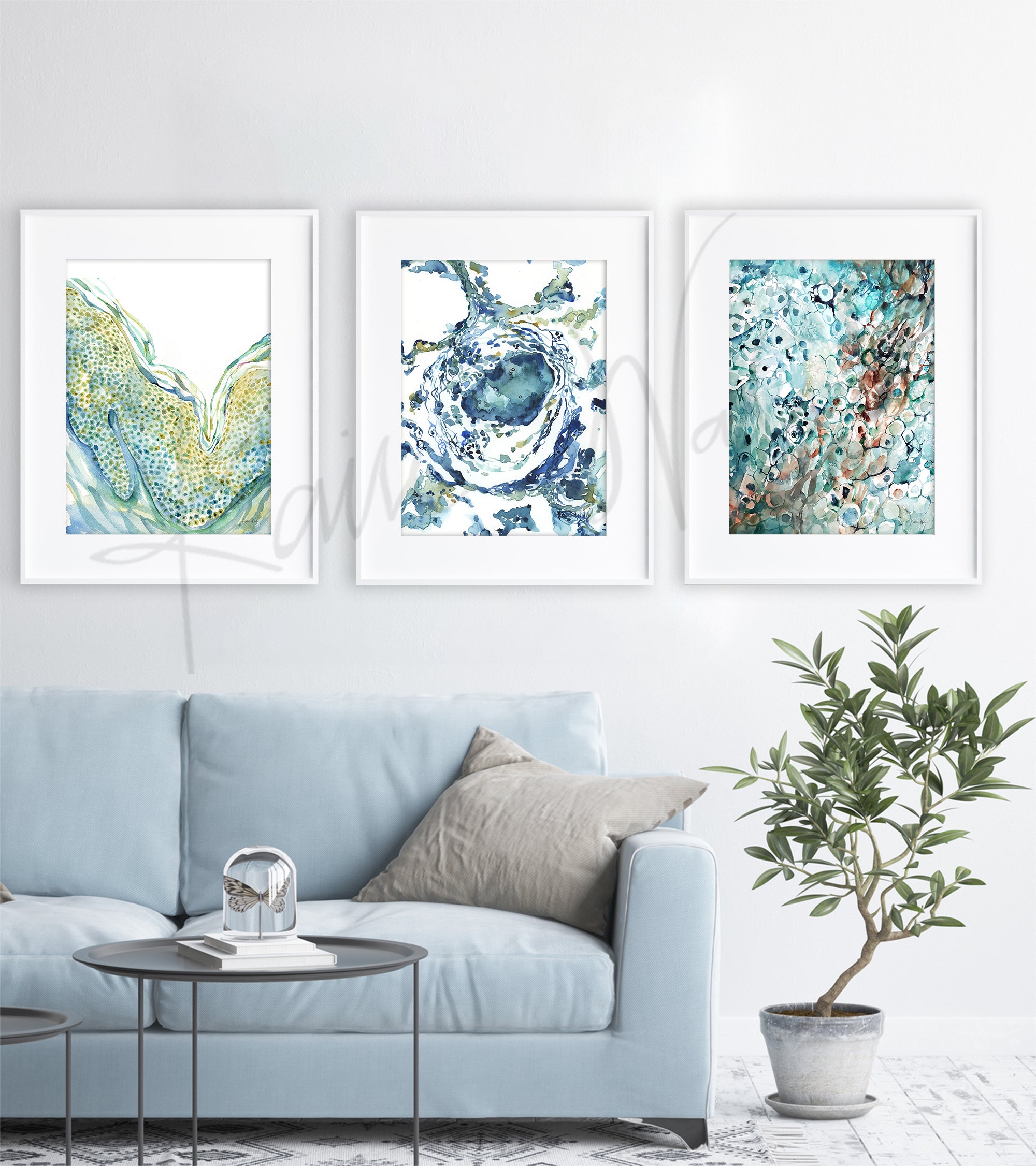 Skin Histology Watercolor Print Set