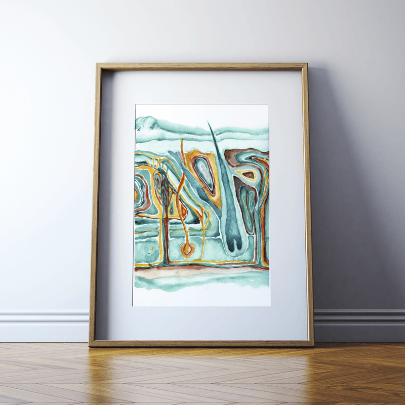 Framed Skin Cross Section Print Watercolor- Dermatology art- Gift for doctor