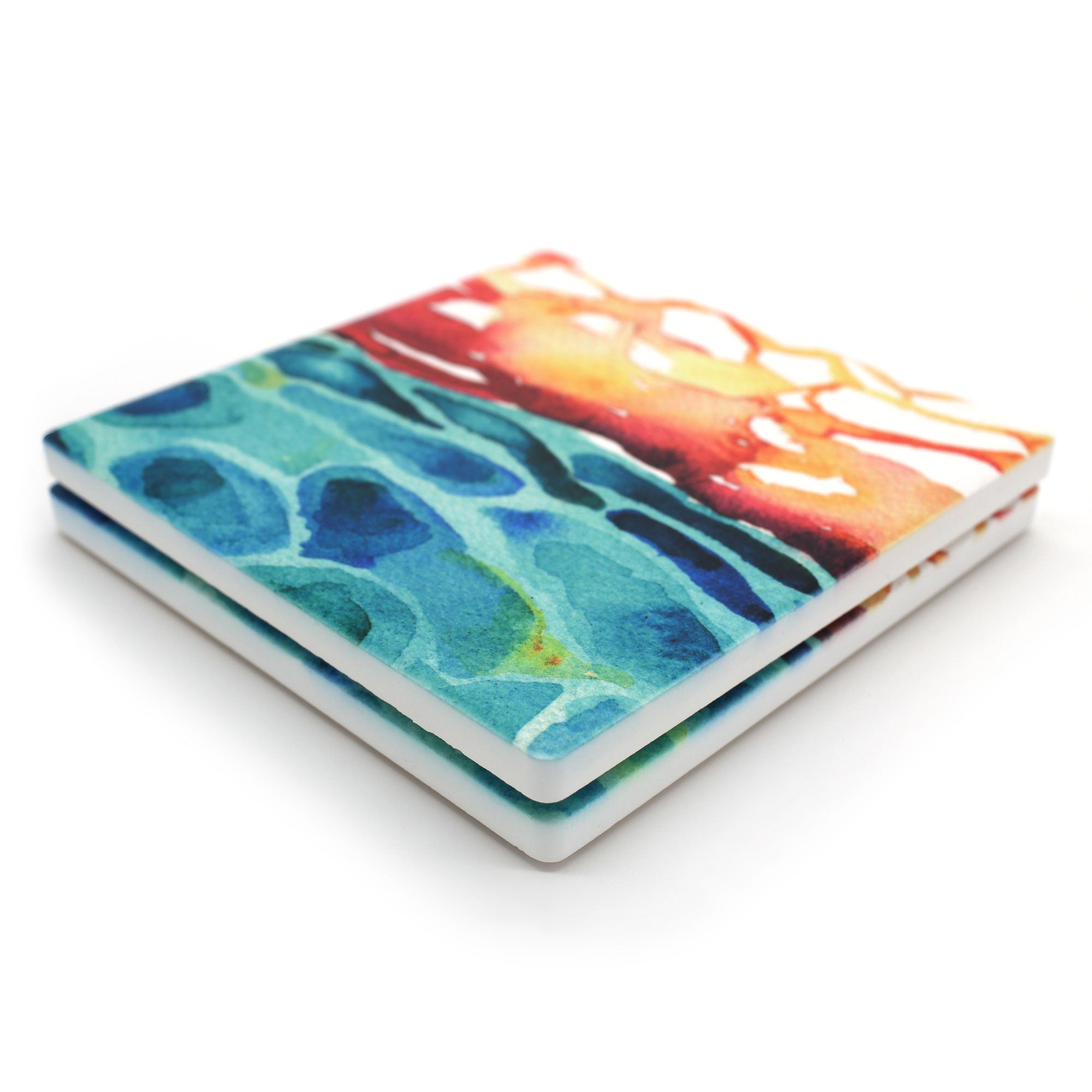 Skin Histology Ceramic Coaster Set of 2