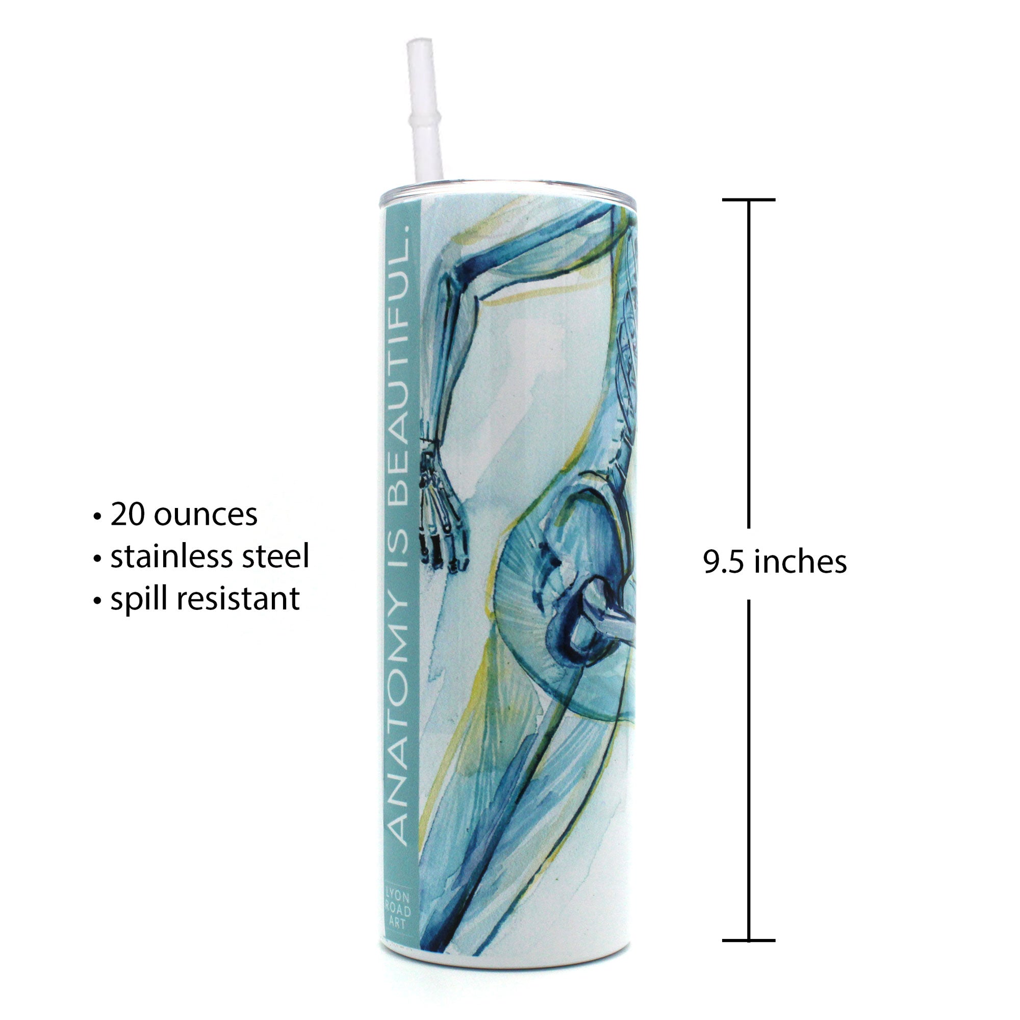 Runner's Anatomy 20 oz Skinny Tumbler