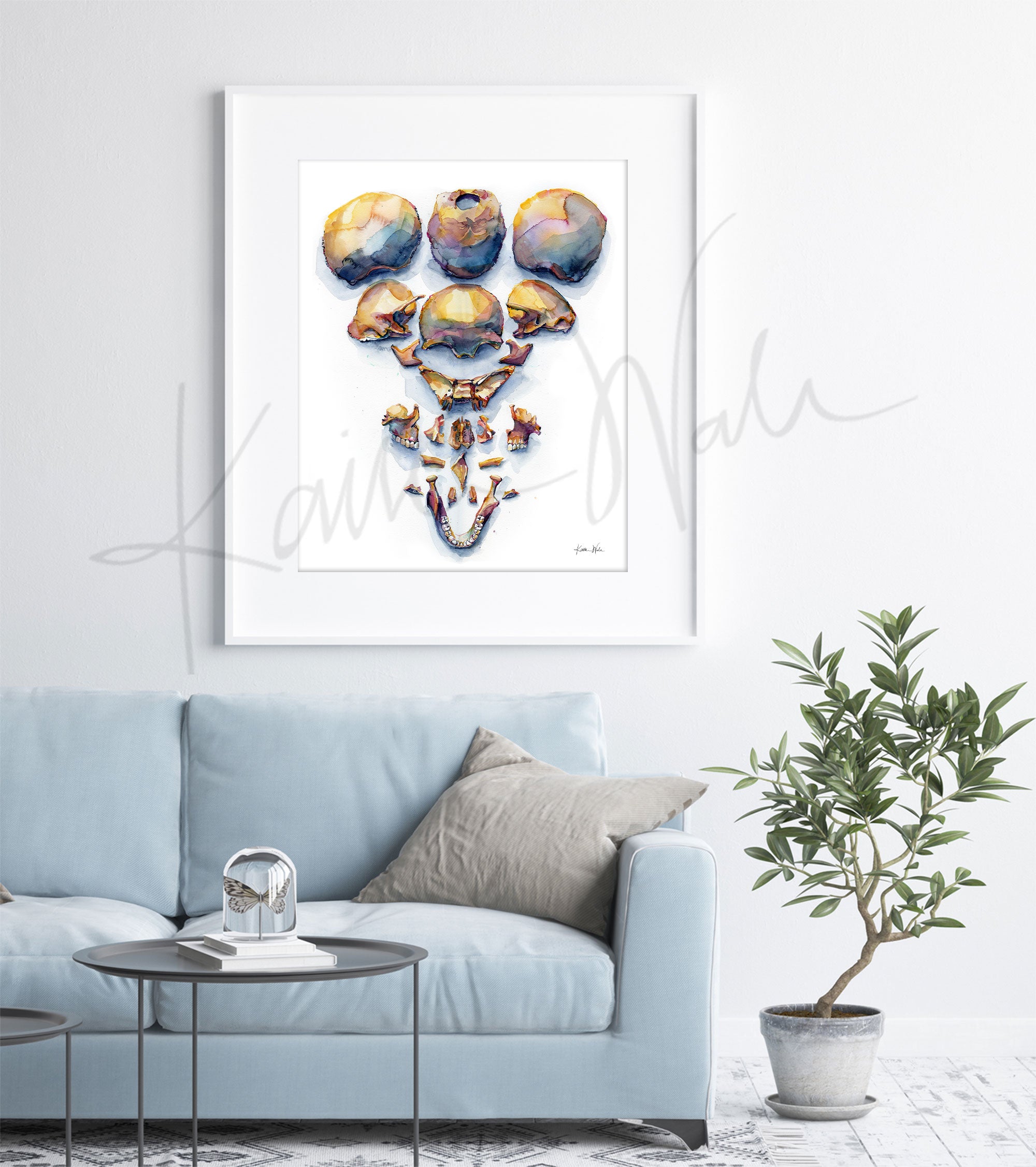 Exploded View of Skull I Watercolor Print