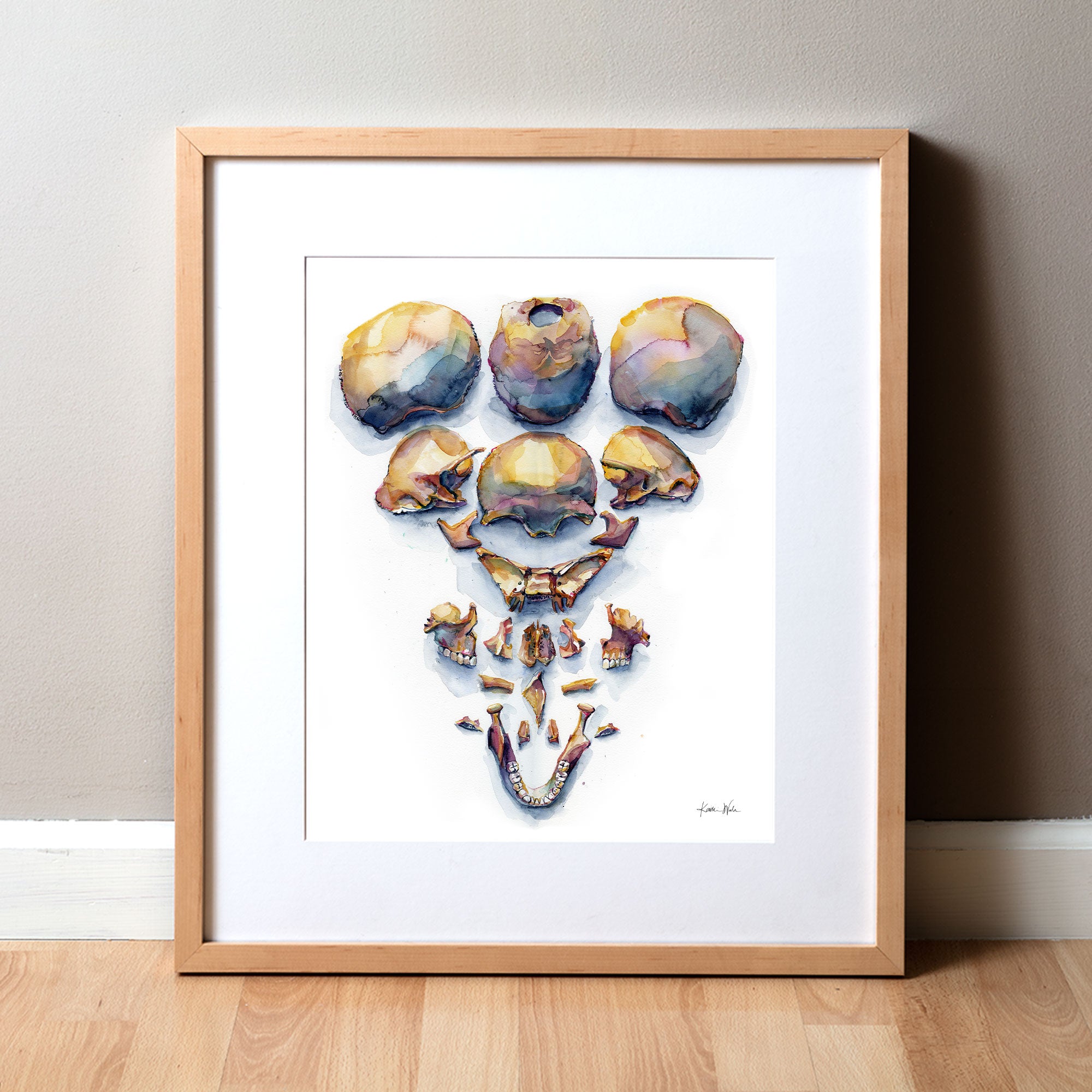 Exploded View of Skull I Watercolor Print